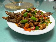 -煲来饱去冷水鱼