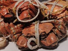 -杨氏青龙虾·羊肉季(金盛路总店)