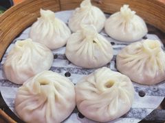 -莱莱小笼·乔艾