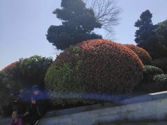 -桐乡凤凰湖