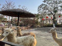 -盈香心动乐园
