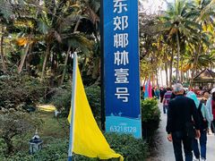 -东郊椰林
