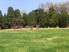 -童牛岭风景区