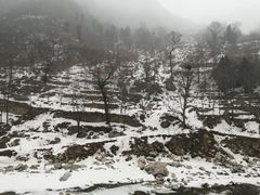 -秦岭风景区