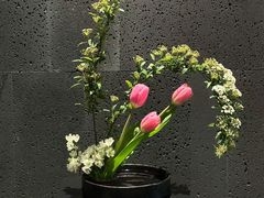 -帝京日语(春熙路旗舰校区)
