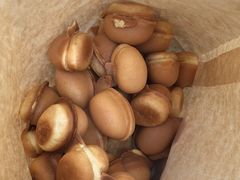 -飞记(晓港西马路商业街店)