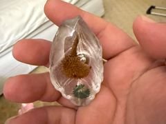 -兴记肉骨茶(甲洞大街第二新分店)