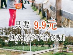 -前小桔亲子创意农场·草莓采摘·露营烧烤