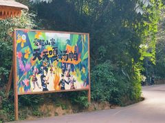 -西双版纳原始森林公园
