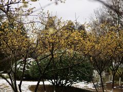 -白塘生态植物园