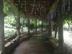 -雪山彩虹谷景区