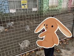 -歌斐颂巧克力小镇