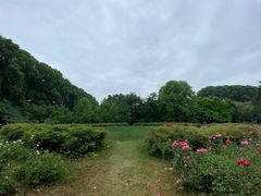 -河南省黄河迎宾馆