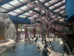 -中铁花水湾四季温泉谷