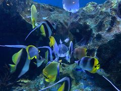 -海合安成都极地海洋公园