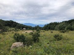 -白草畔自然风景区