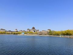 -莲花池公园