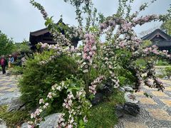 -南北湖风景区