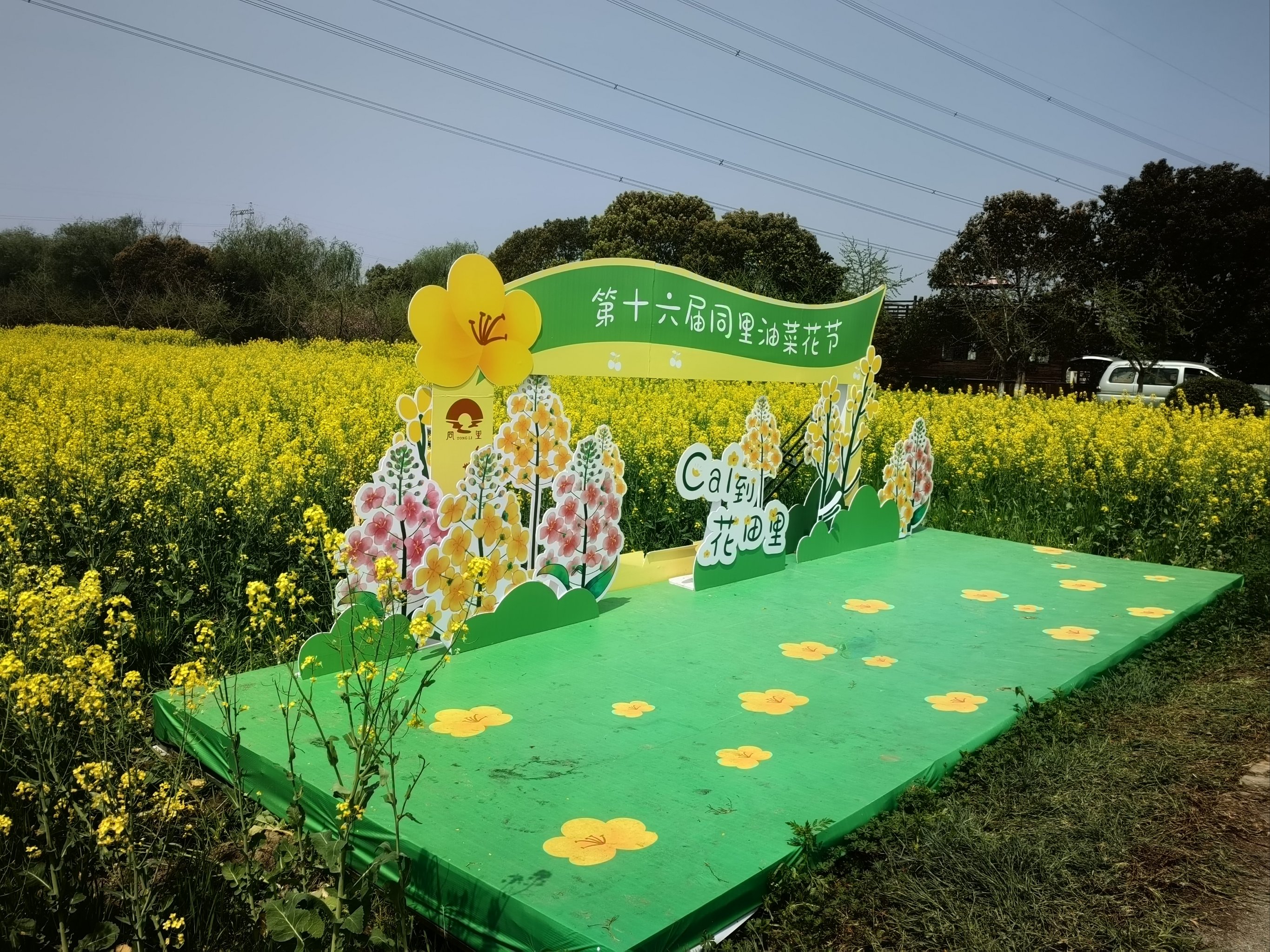 北联油菜花节图片