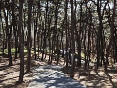-红螺寺