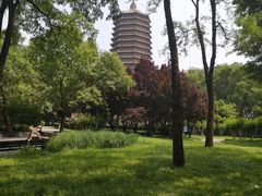-玲珑塔公园