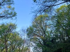 -大蜀山国家森林公园