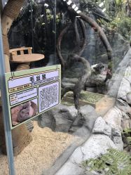 -Zoolung Zoolung动物主题公园(海信广场店)