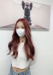 -Y-STUDIO原理