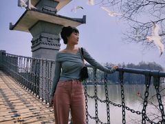 -东湖落雁景区