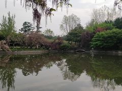 -嘉定紫藤园