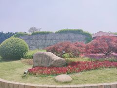-嘉定紫藤园