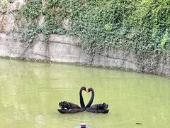 -虹迎轩·中餐厅(虹桥迎宾馆店)