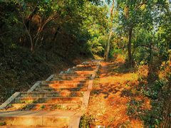-青龙山国家森林公园