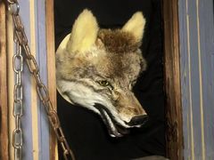 -明日世界密室轰趴·剧本桌游·箭馆团建(国贸店)