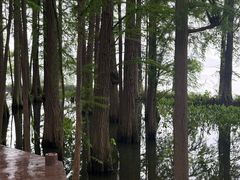 -东湖落雁景区