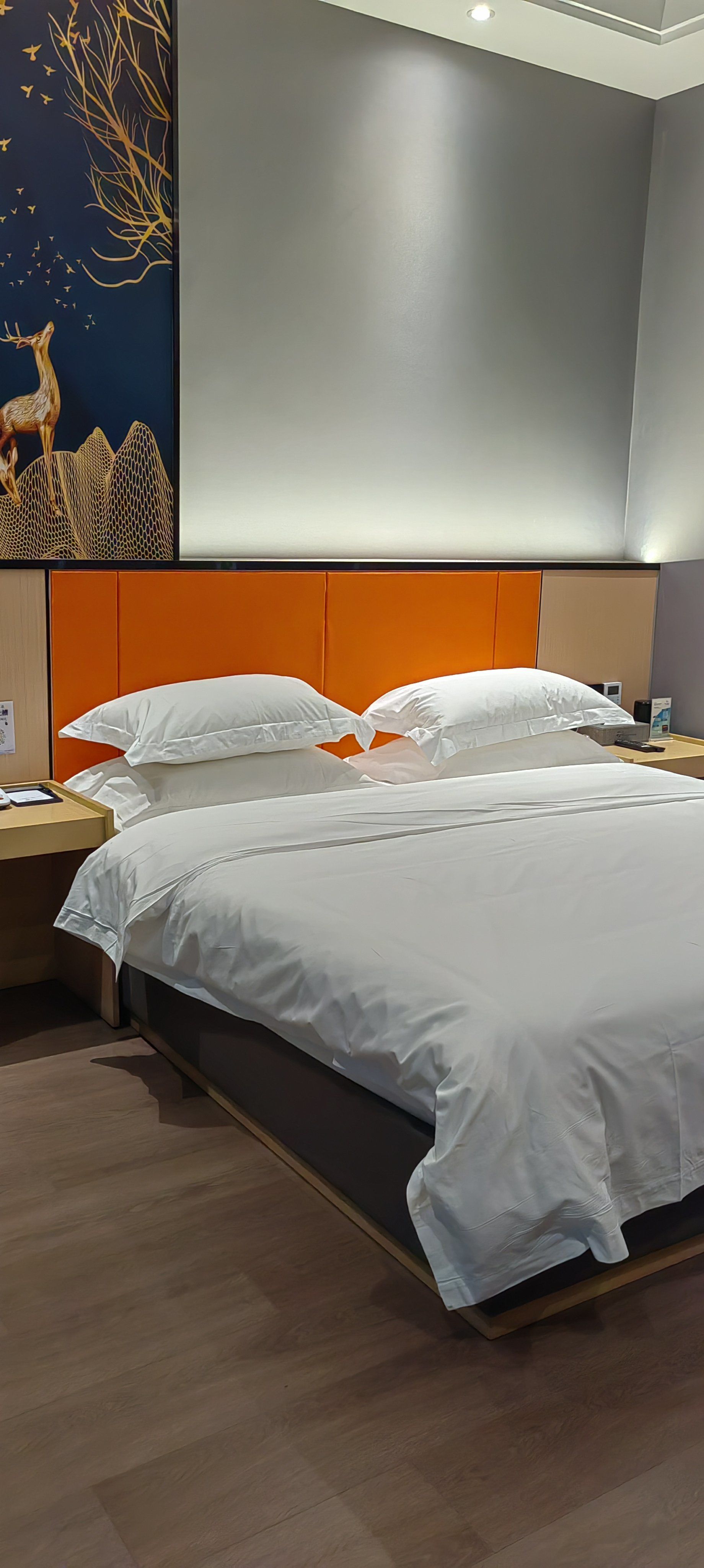 一进入酒店就被他家的装修所吸引,房间布置的很温馨舒适,设施比较齐全