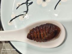 -夕阳红小吃(中街大悦城店)
