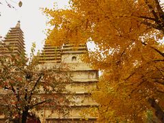 -北京石刻艺术博物馆(五塔寺)