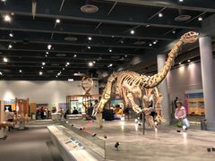 -香港科学馆