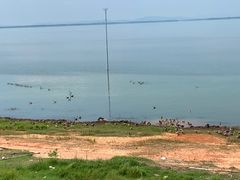 -鄱阳湖国家湿地公园