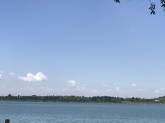 -丁香湖公园