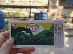 -保定市动物园