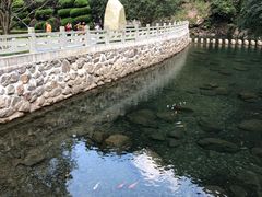 -宁波五龙潭景区