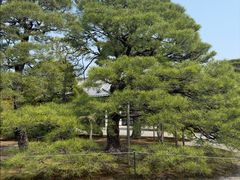 -京都御所