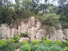 -金鸡山公园