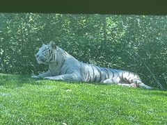 -北京野生动物园