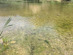 河边-云丽燕农家乐