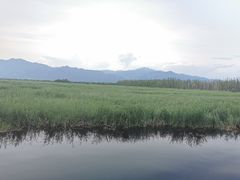 -野鸭湖国家湿地公园