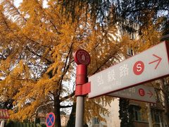 -四川大学(望江校区)