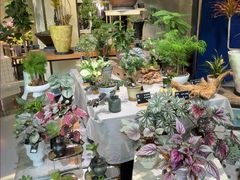 -弗劳尔花艺坊(龙涛店)